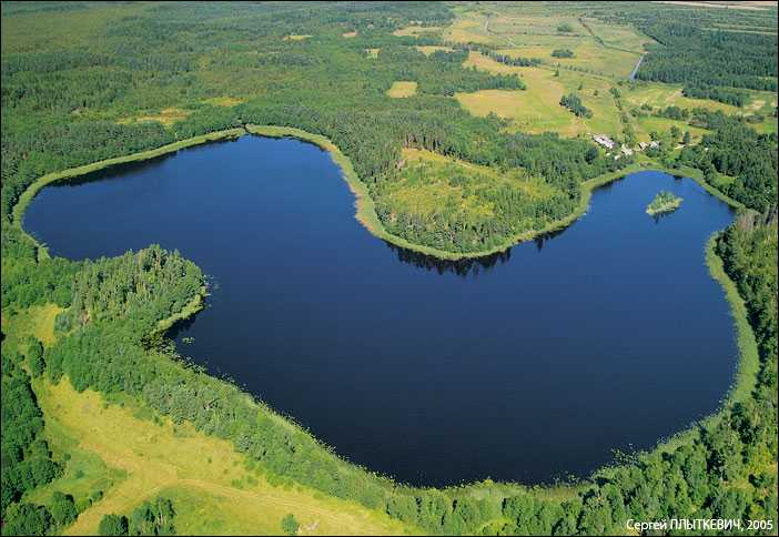 Заказник Сорочанские озера. Гродненская область.jpg