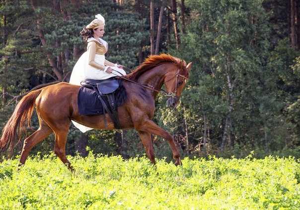 в дамском для рекламы.jpg