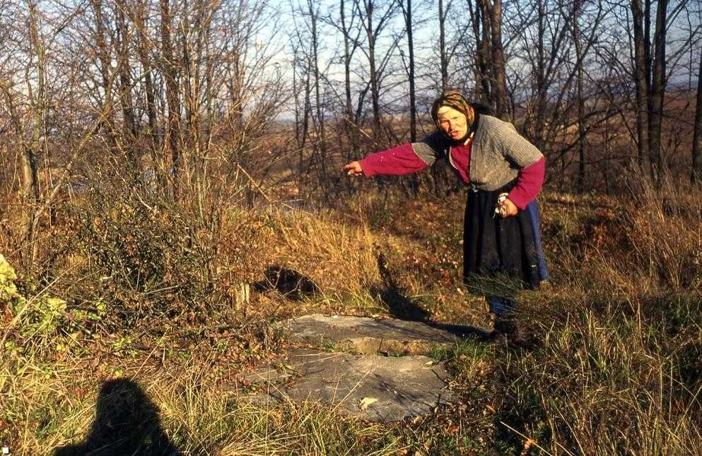 Лінія Мядзьведзь в.Залахвеньне Бых. р-на Маг. вобл...jpg