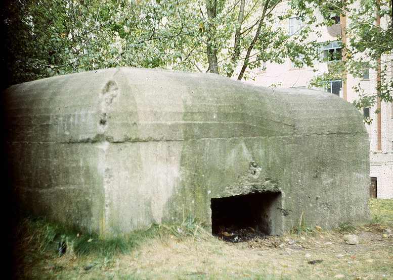 Копия img967.jpg