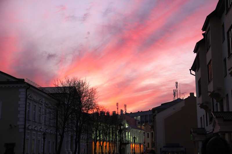 Копия IMG_7800.JPG
