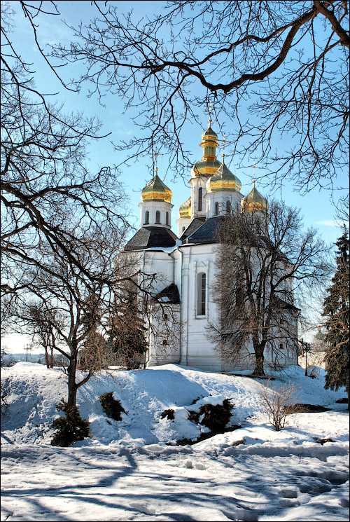 _MG_5838.JPG