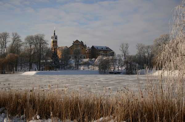 _MG_7536.JPG