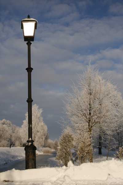 _MG_7544.JPG