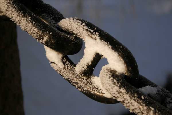 _MG_7545.JPG