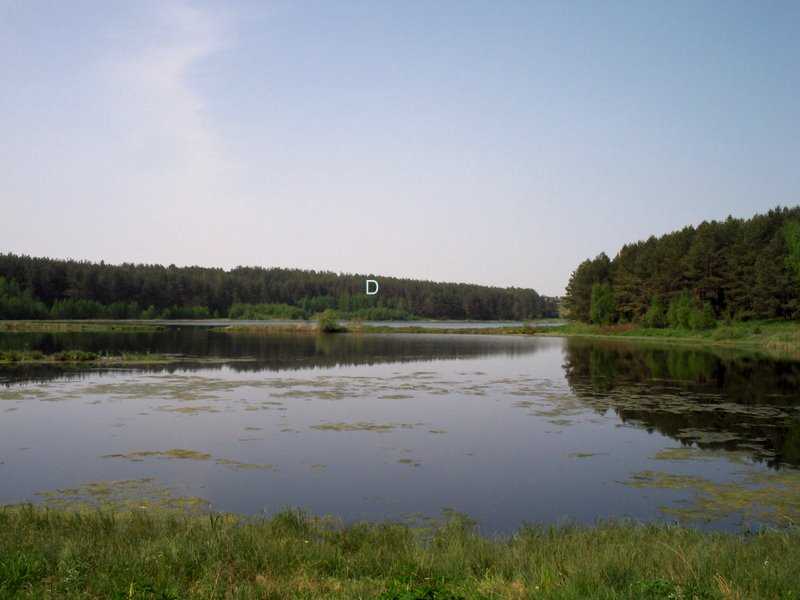 Дот (11)-1.jpg