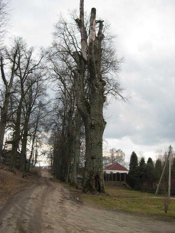 Для форума (13).jpg