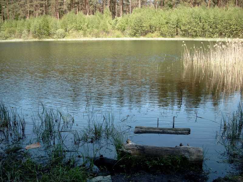 Дальва - п.Воровского - 13.jpg