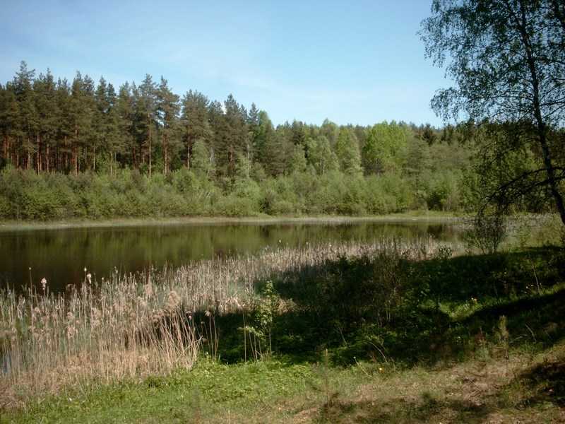 Дальва - п.Воровского - 15.jpg