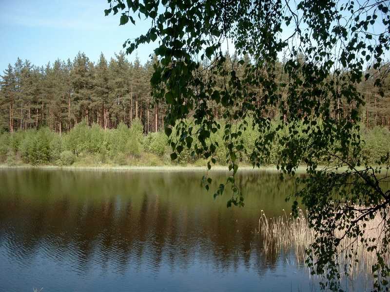 Дальва - п.Воровского - 17.jpg