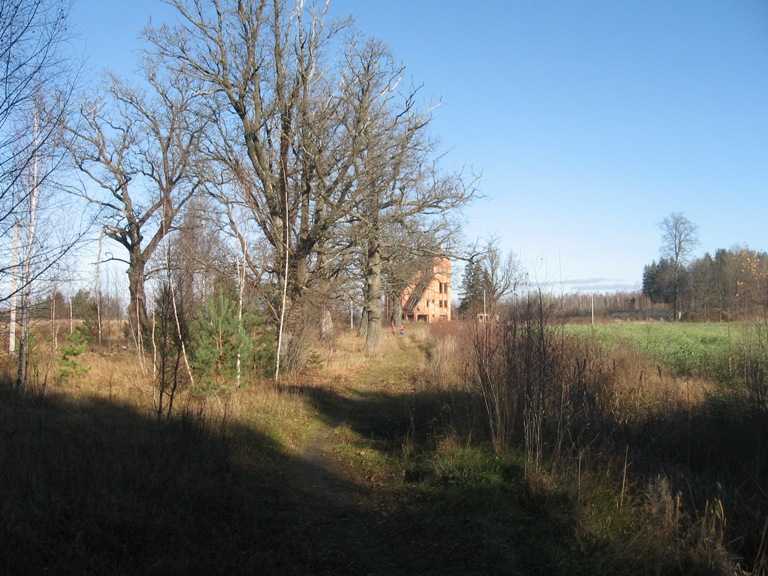 bel2 1291.jpg