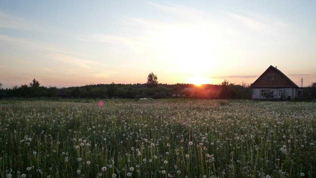 Berezina-mai-2010-05.JPG