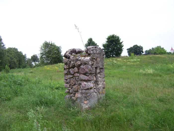 bielica 1.jpg
