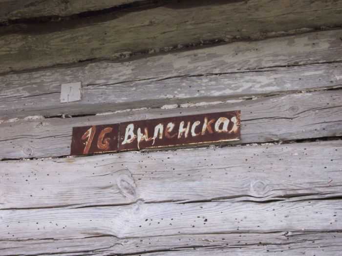 bielica 5.jpg