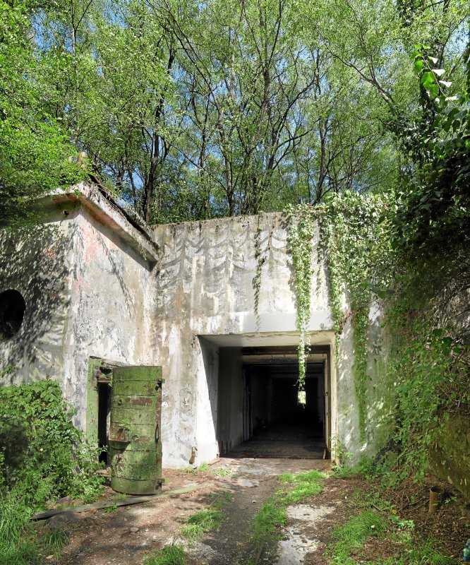 bogushi-baran-0325.jpg