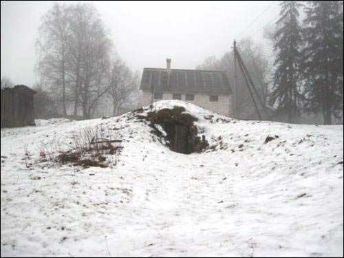 brlimysl01-21.jpg