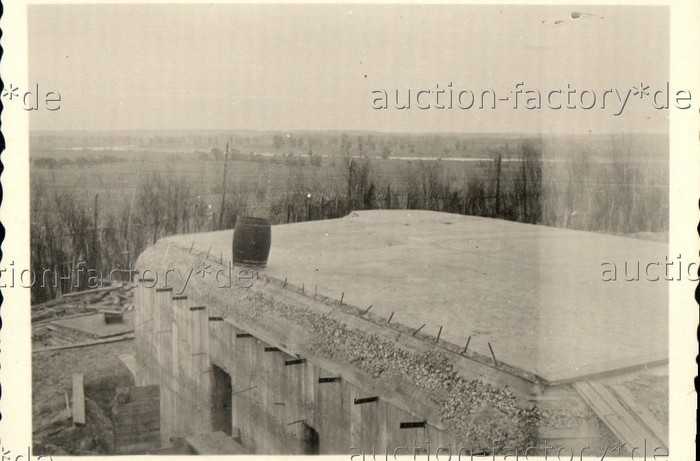 bug1941_2.jpg