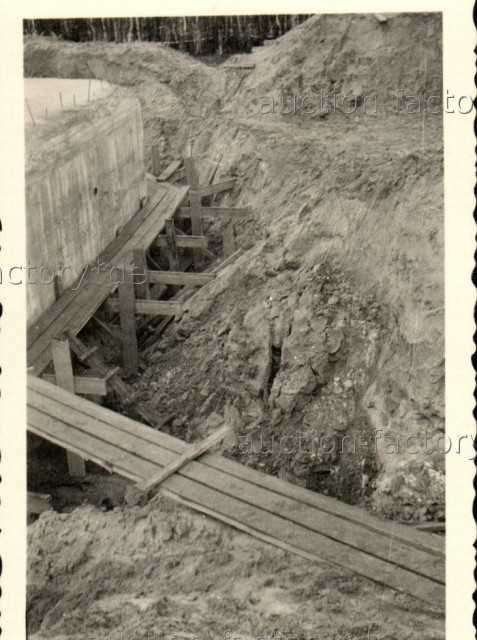 bug1941_3.jpg