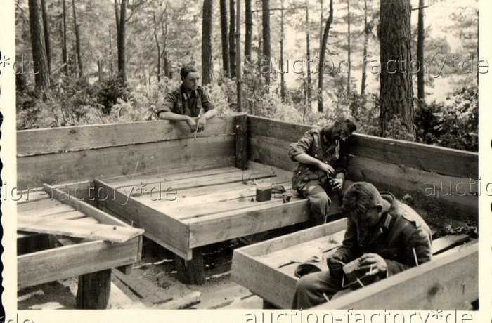 bug1941_5.jpg