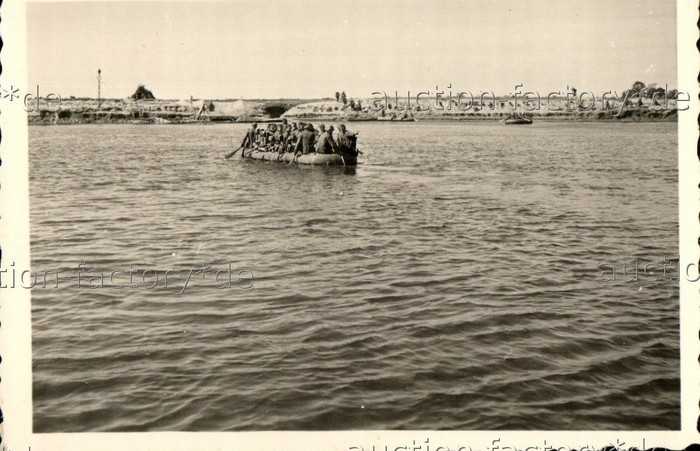 bug1941_6.jpg