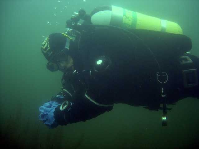 diver.jpg