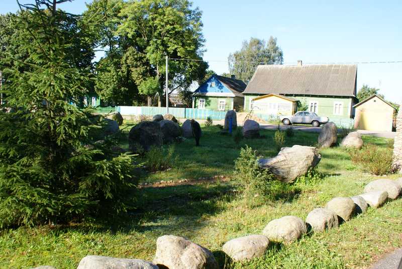 DSC05016.jpg