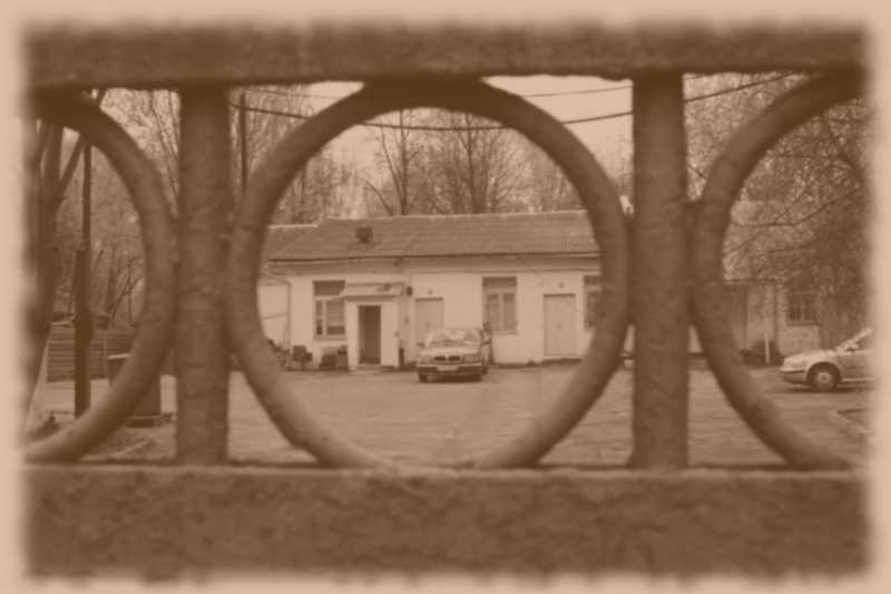 DSC06721-1.JPG