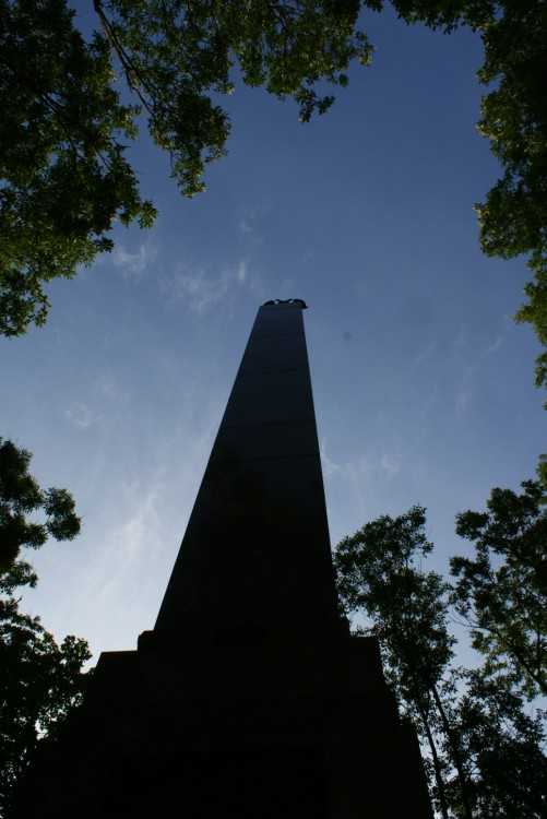DSC07094.JPG