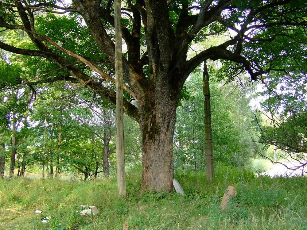 DSCF1188.JPG