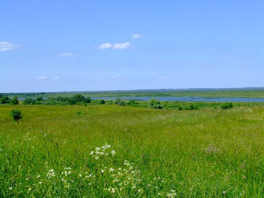DSCF2255.JPG