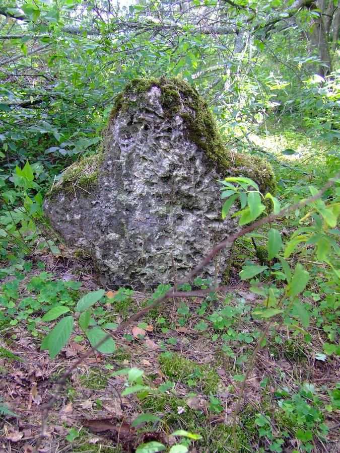 DSCF2394.JPG