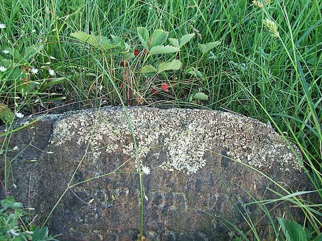 DSCF4963.jpg