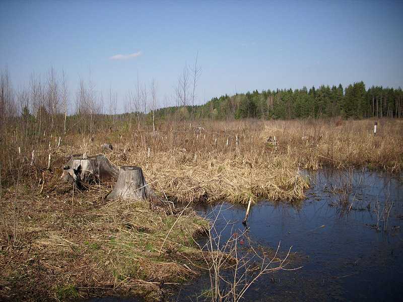 DSCI3018.jpg