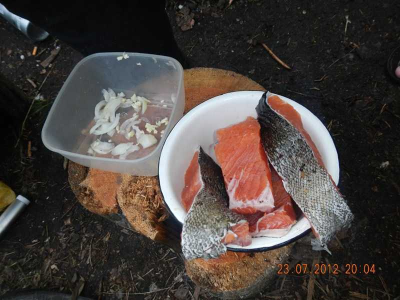 DSCN0590.JPG