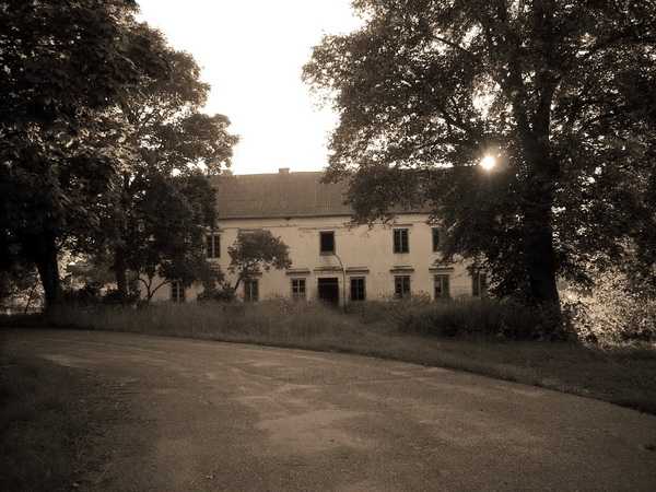 DSCN4533.jpg