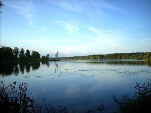 DSCN4537.jpg