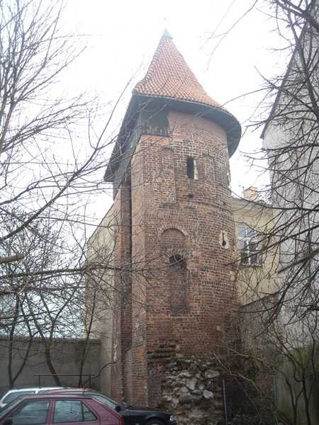 DSCN4976.JPG