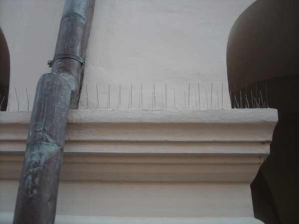 DSCN5080.JPG