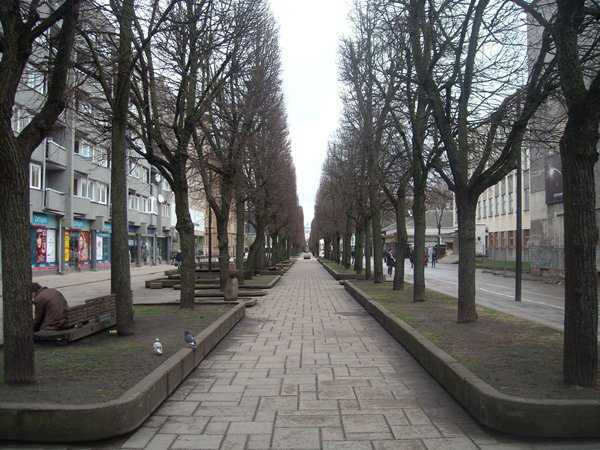 DSCN5280.JPG