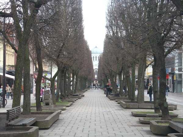 DSCN5289.JPG