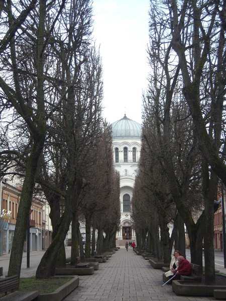 DSCN5295.JPG