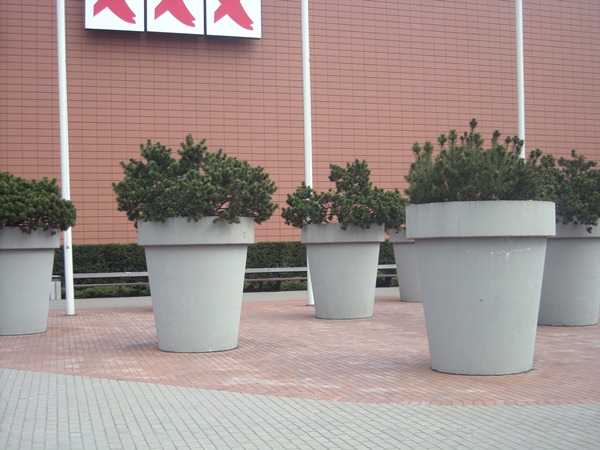 DSCN5312.JPG