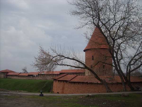 DSCN5374.JPG
