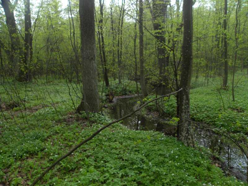 DSCN6358.JPG