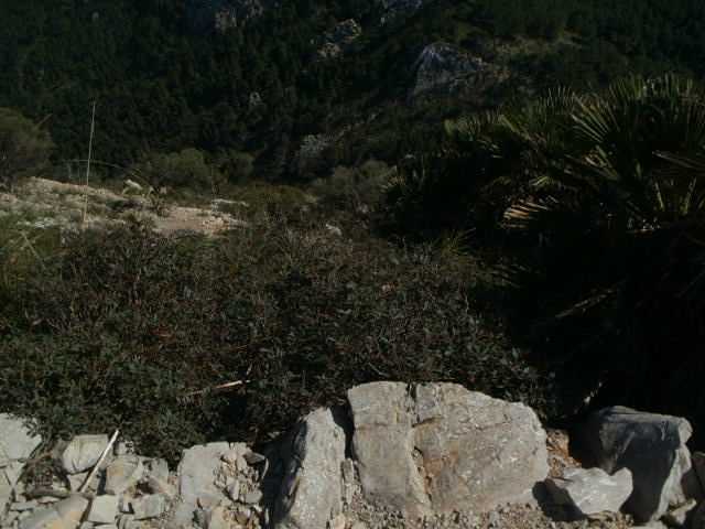 getImage (10).jpg