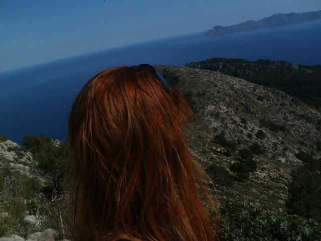 getImage (8).jpg