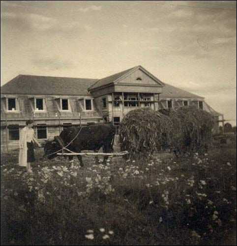 hriuzham04-13.jpg