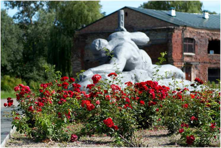Image00001.jpg