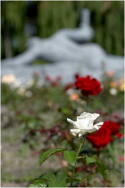 Image00002.jpg