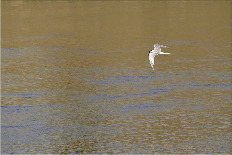 Image00002.jpg